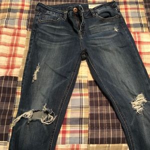 Stitch Fix Pistola distressed cropped zipper jeans